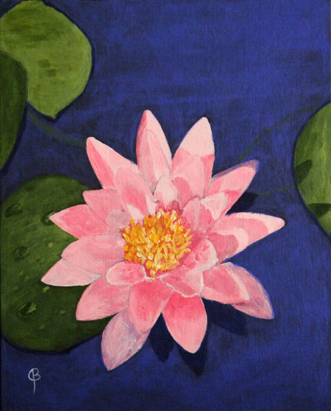 Pink Water Lily